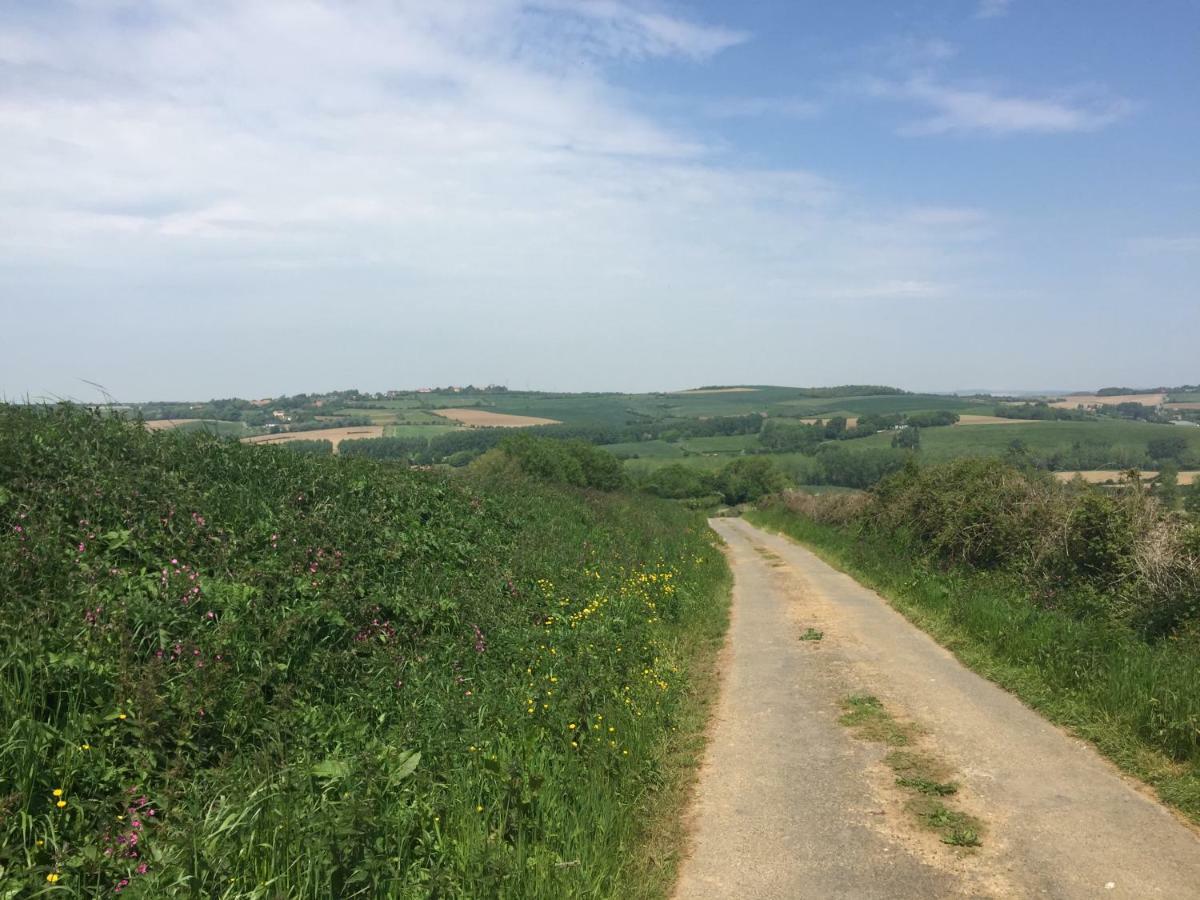 Les Dunes Du Golf First Line Sea View App Block B 1-3 Wimereux Eksteriør billede