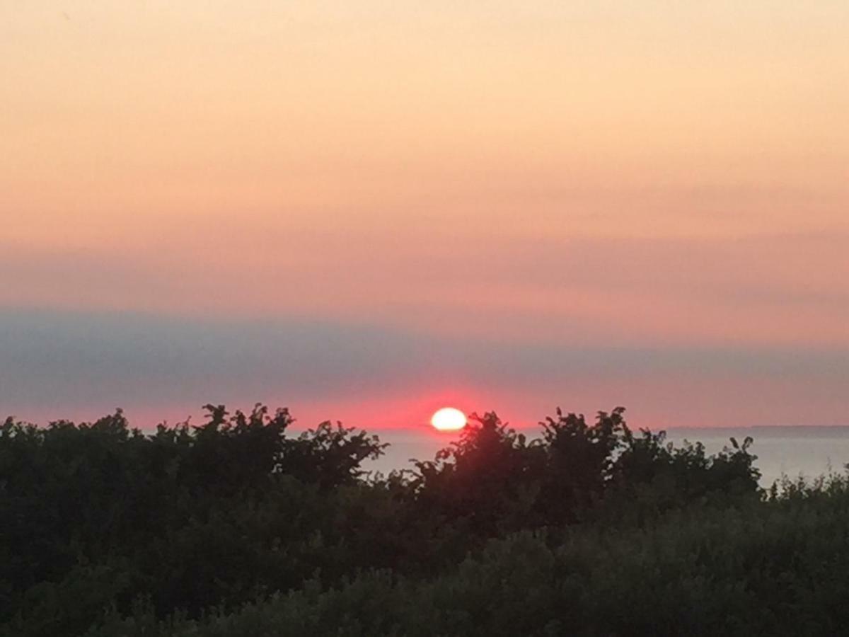 Les Dunes Du Golf First Line Sea View App Block B 1-3 Wimereux Eksteriør billede